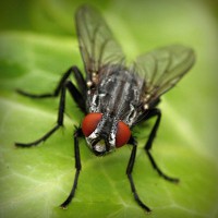 /album/dia-da-alimenta%c3%a7%c3%a3o/photolia-a01-jpg/