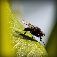 /album/dia-da-alimenta%c3%a7%c3%a3o/photolia-a04-jpg/