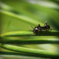 /album/dia-da-alimenta%c3%a7%c3%a3o/photolia-a05-jpg/