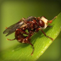 /album/dia-da-alimenta%c3%a7%c3%a3o/photolia-a06-jpg/