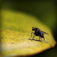 /album/dia-da-alimenta%c3%a7%c3%a3o/photolia-a07-jpg/